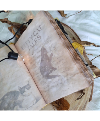 Grimoire du Chat Noir