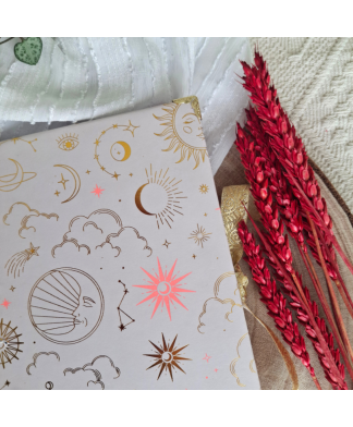 copy of Carnet de notes Ours brun