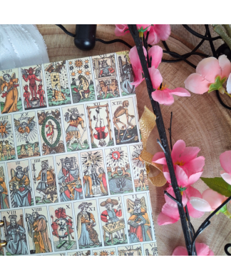 Carnet spirale TAROT