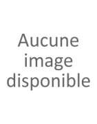 Consultation de Tarot
