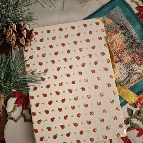 instagram-18 🎄Idée cadeau de Noël un joli carnet Coccinelle avec dorure.