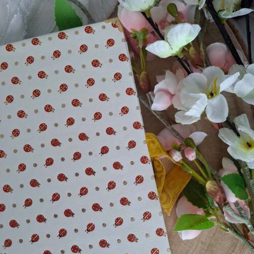 instagram-10 🐞♥️Carnet COCCINELLE reliure copte apparente.