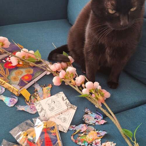 instagram-14 🐈‍⬛🌸STARTER PACK SANS IA ! 🤣
Avec doudou on a pas voulu utiliser Chat GPT on préfère le naturel. ♥️💙💚
#starterpack #chatgpt
