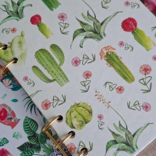 instagram-7 🌵Carnets Cactus avec spirales dorée.