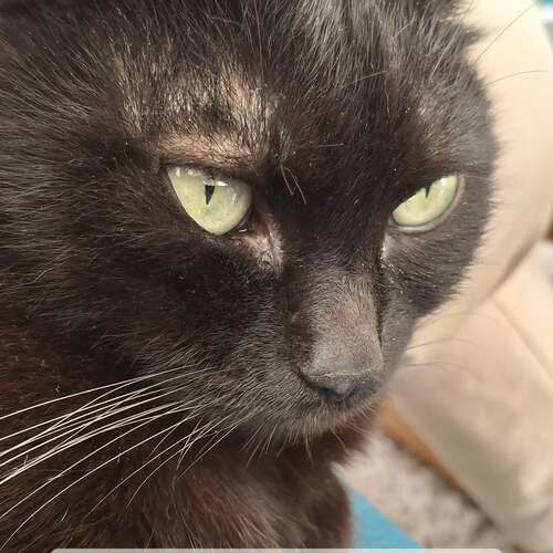 instagram-2 🥳Je vous souhaite une excellente année 2026 !