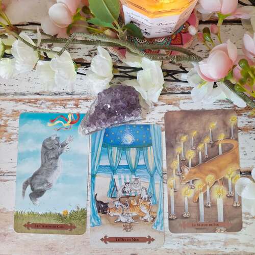 instagram-9 🔮Si le tarot vous intéresse je propose des consultations sur ma boutique.
🐈⬛ Un tirage a 3 cartes pour une question simple.
🐈⬛ Un tirage a 9 cartes pour les situations plus complexe avec 2-3 questions.
🔮Tous les détails sont indiqués sur la boutique mais si vous avez des questions je vous réponds en MP.